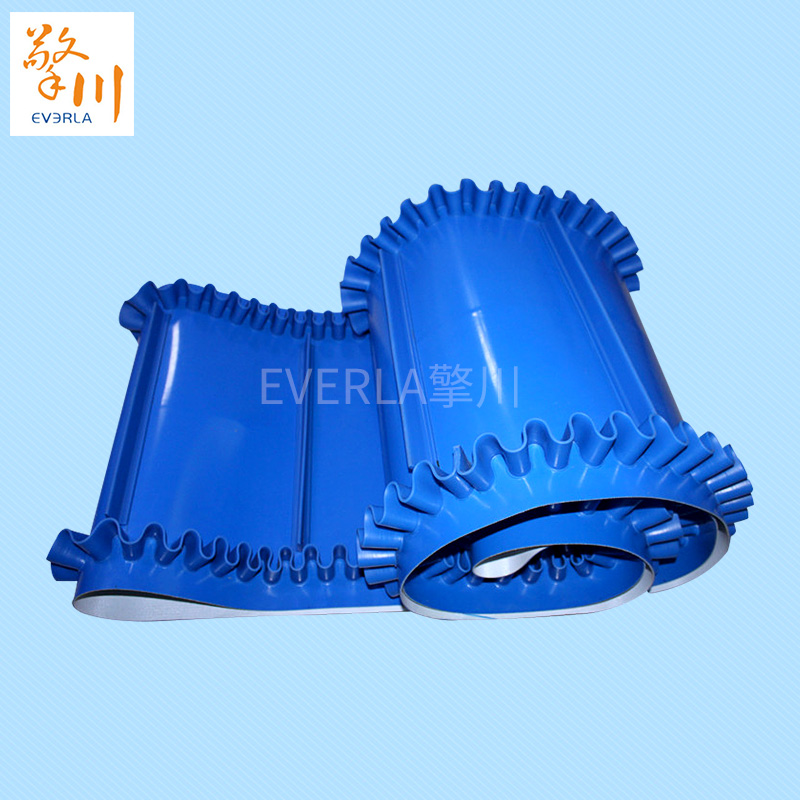  藍(lán)色裙邊<a href='http://www.zhangtiankun.cn/shusongdai/' target='_blank'><u>輸送帶</u></a>的圖片1