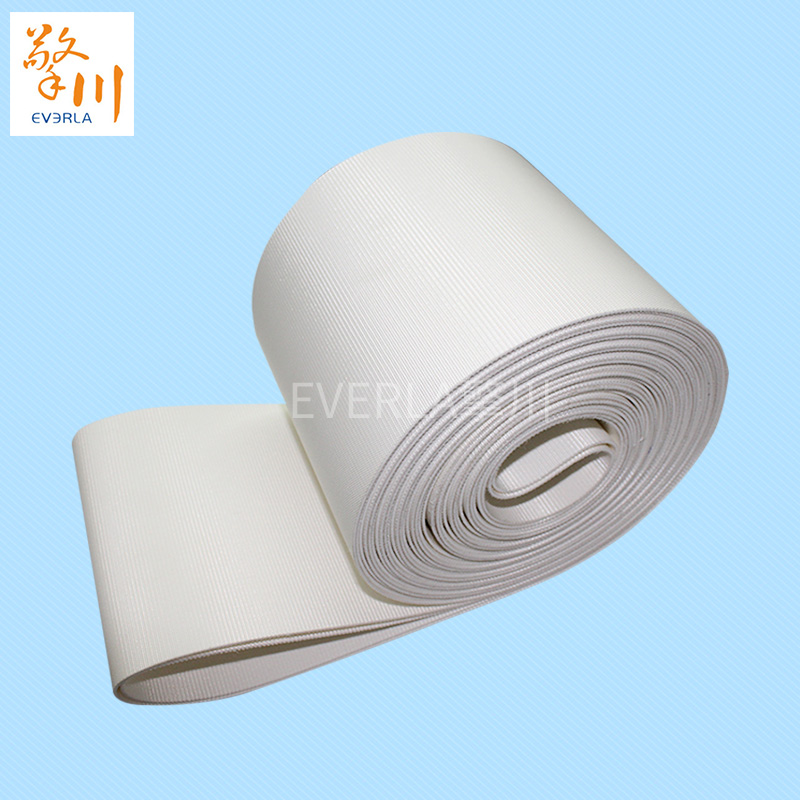 優(yōu)質(zhì)的食品pvc<a href='http://www.zhangtiankun.cn/shusongdai/' target='_blank'><u>輸送帶</u></a>主圖