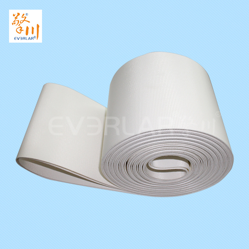 食品皮帶<a href='http://www.zhangtiankun.cn/shusongdai/' target='_blank'><u>輸送帶</u></a>