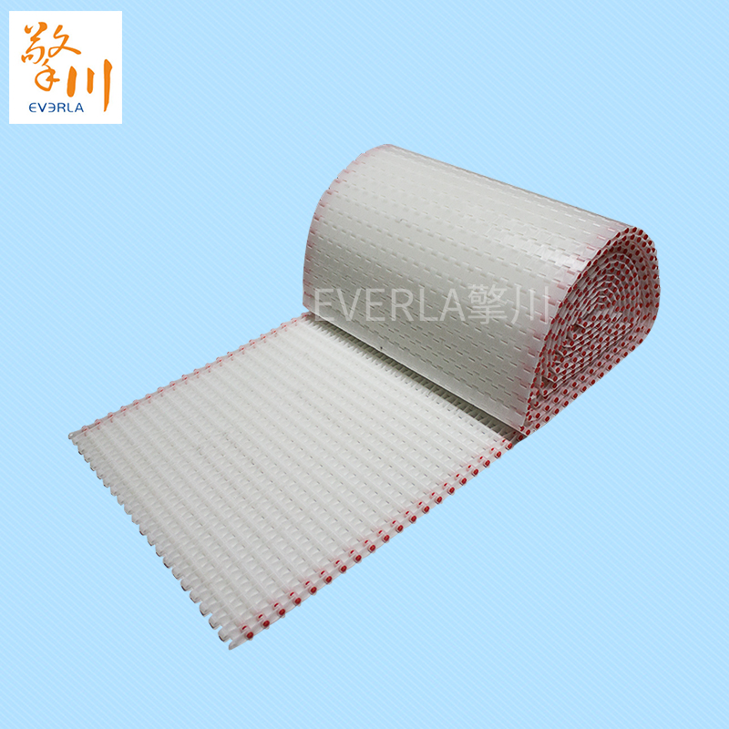 鏈板<a href='http://www.zhangtiankun.cn/shusongdai/' target='_blank'><u>輸送帶</u></a>