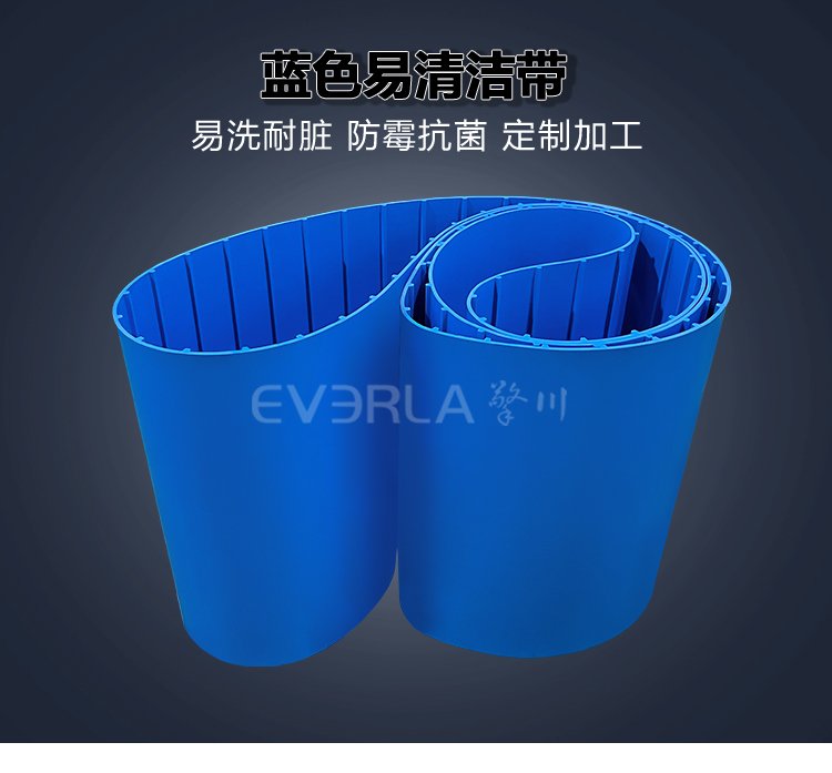 藍(lán)色易潔帶加導(dǎo)條